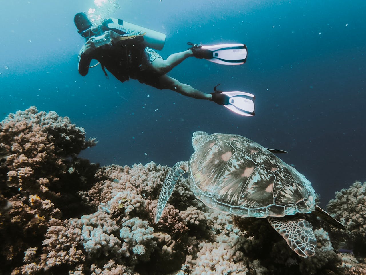 Cano Island Diving