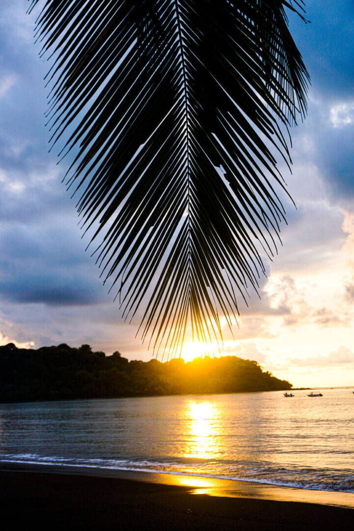 Corcovado Sirena Station