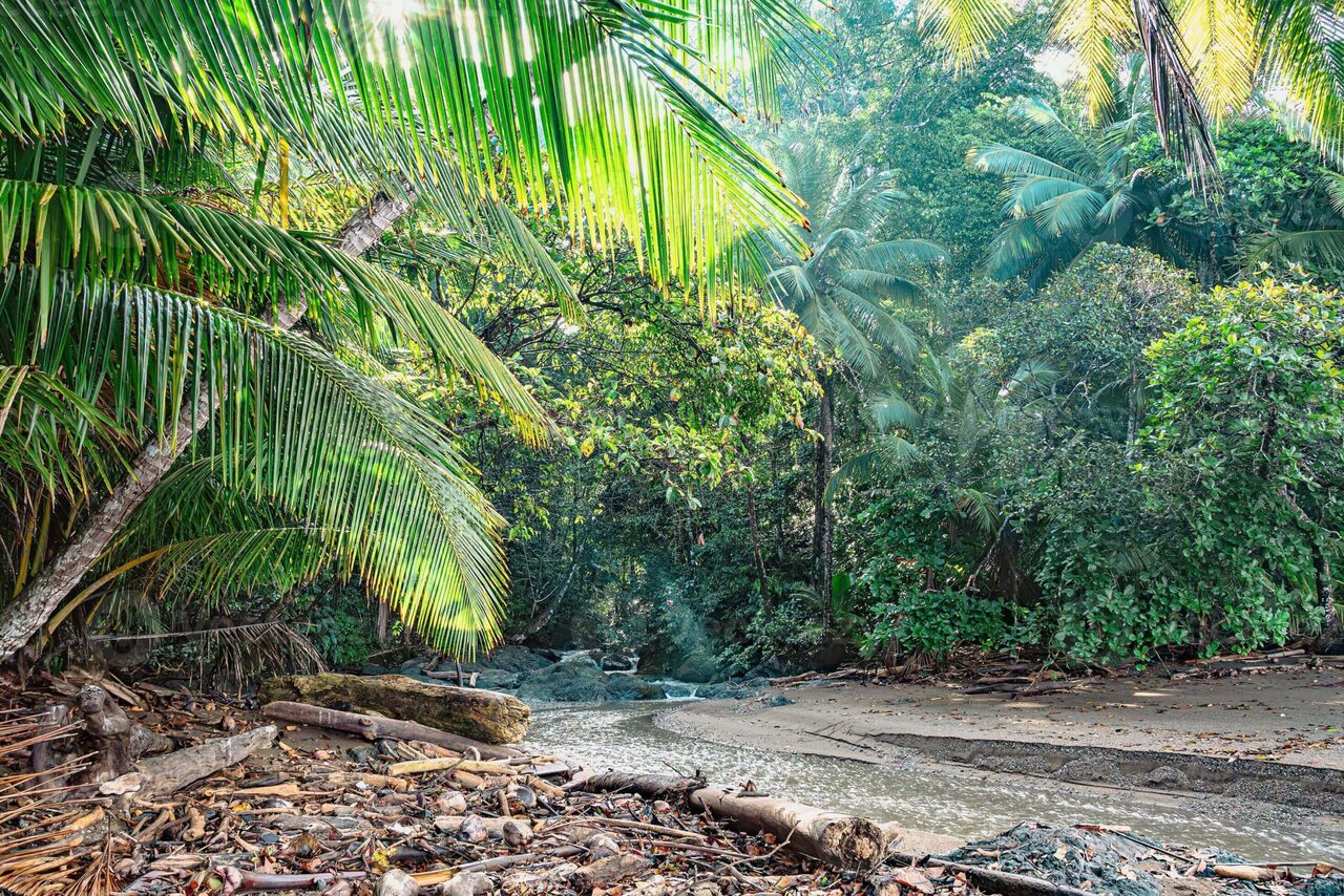 Corcovado National Park